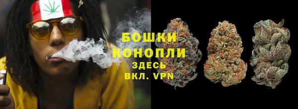 apvp Осташков