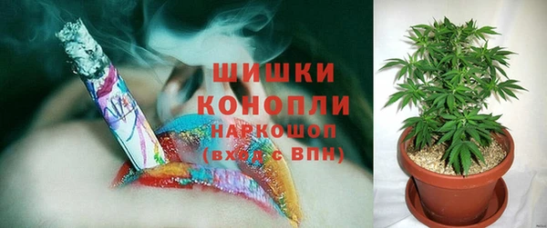 СК Надым