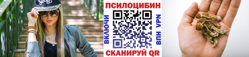 даркнет официальный сайт  купить   Новомичуринск  Псилоцибиновые грибы Psilocybine cubensis 